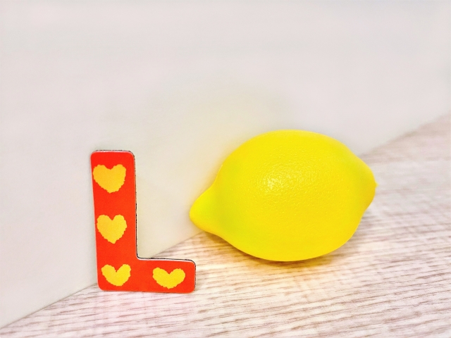 小３鍛える算数思考力Ｌ